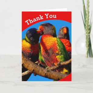 Tarjeta de agradecimiento de Rainbow Lorikeet