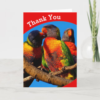 Tarjeta de agradecimiento de Rainbow Lorikeet