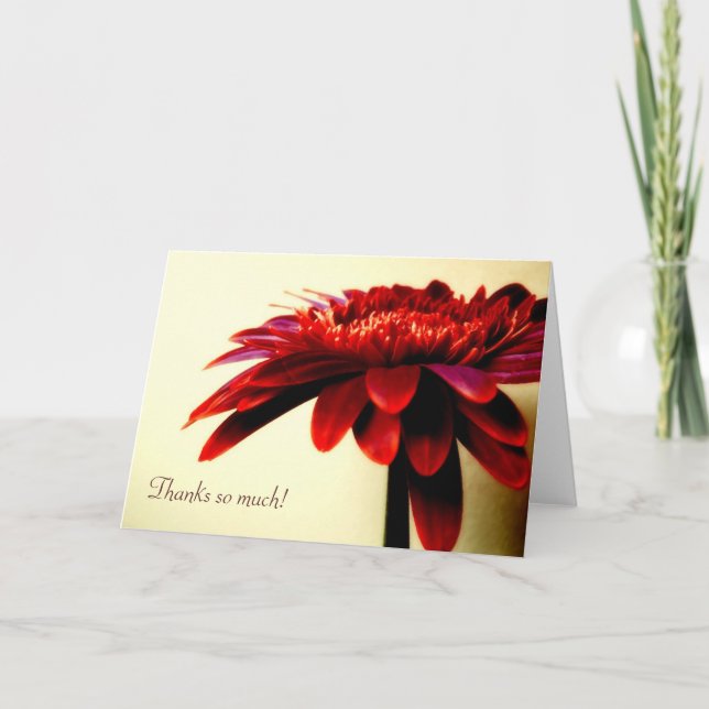 Tarjeta de agradecimiento de Red Gerbera (Anverso)