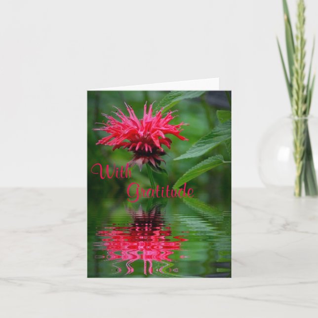 Tarjeta de agradecimiento de Reflexión de Bee Balm (Anverso)