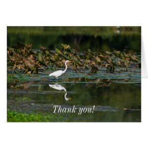 Tarjeta de agradecimiento de reflexión de Egret bl