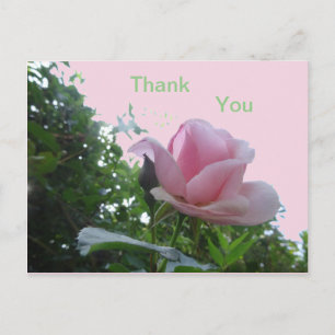 Tarjeta de agradecimiento de rosa rosa de cerca