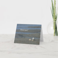 Tarjeta de agradecimiento de Seashell Pile