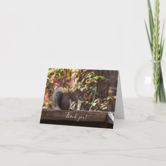 Tarjeta de agradecimiento de Squirrel (Anverso)