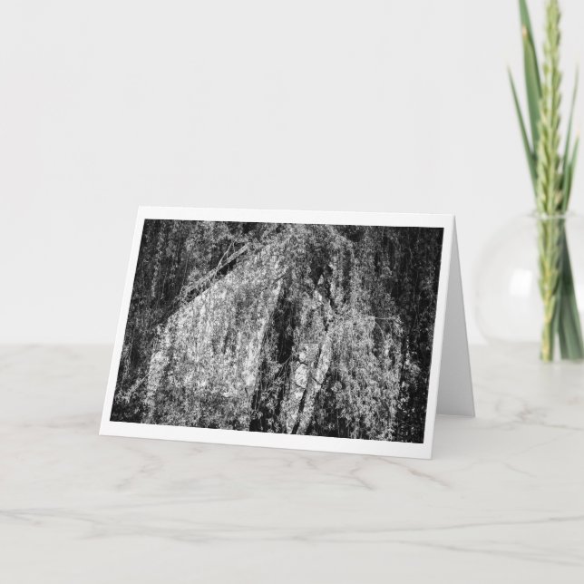 tarjeta de agradecimiento de still life home (Anverso)