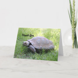 Tarjeta de agradecimiento de tortuga marrón
