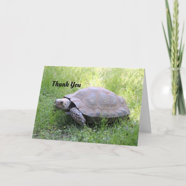 Tarjeta de agradecimiento de tortuga marrón (Anverso)