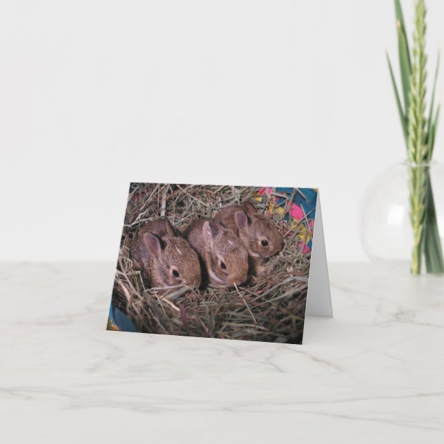 Tarjeta de agradecimiento de tres en fila (Anverso)