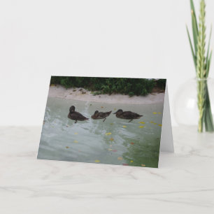Tarjeta de agradecimiento de "Tres Patos"