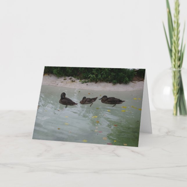 Tarjeta de agradecimiento de "Tres Patos" (Anverso)