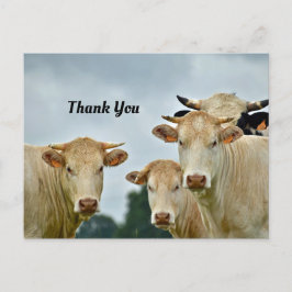 Tarjeta de agradecimiento de vacas