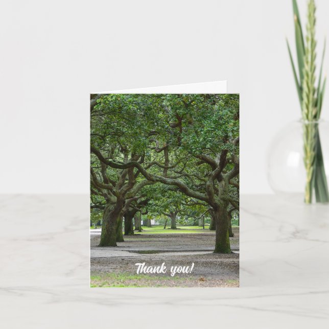 Tarjeta de agradecimiento de White Point Gardens P (Anverso)