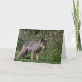 Tarjeta de agradecimiento de Wild Coyote Pup