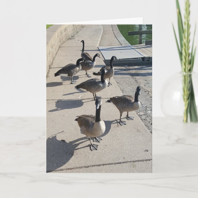 Tarjeta de agradecimiento de "Wild Goose Chase" (Anverso)