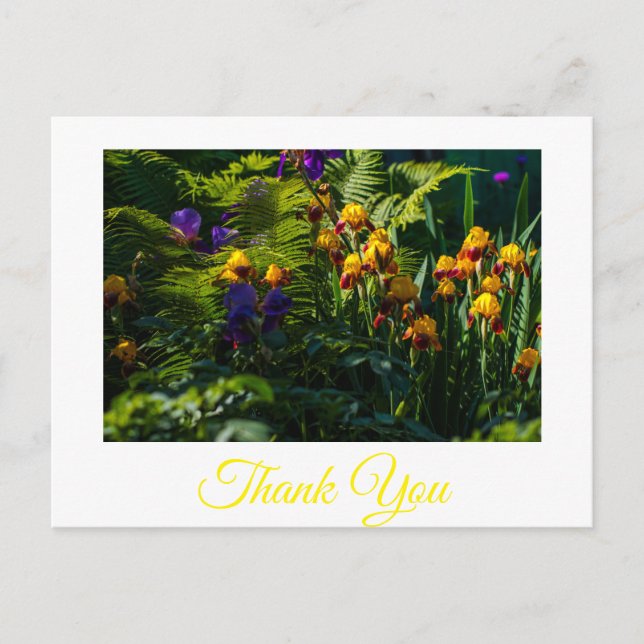 Tarjeta de agradecimiento del jardín de flores Iri (Anverso)
