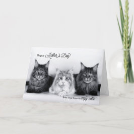 Tarjeta De Agradecimiento del Mascota Funny Día de la Madre Tres Gatos Tabby
