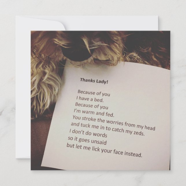 Tarjeta de agradecimiento del perro (Anverso)