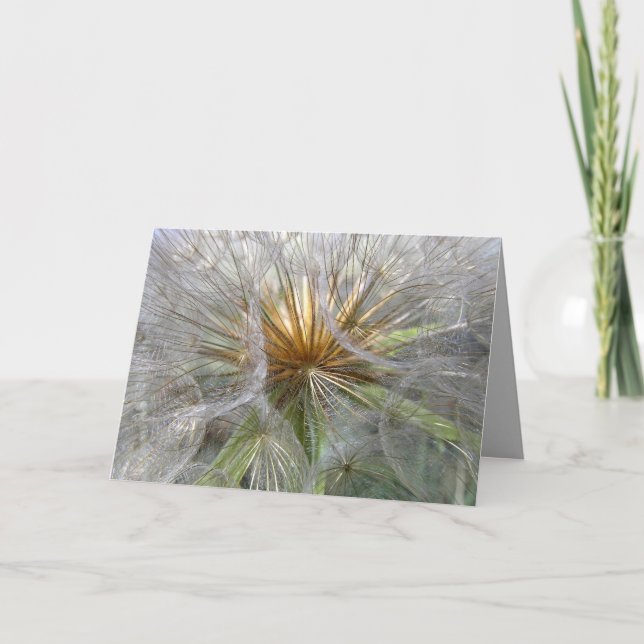 Tarjeta De Agradecimiento Dentro De Un Reloj De Dandelion. Fotografía En Bla (Anverso)