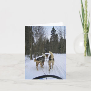 Tarjeta De Agradecimiento Derrame de perro en Quebec, Canadá