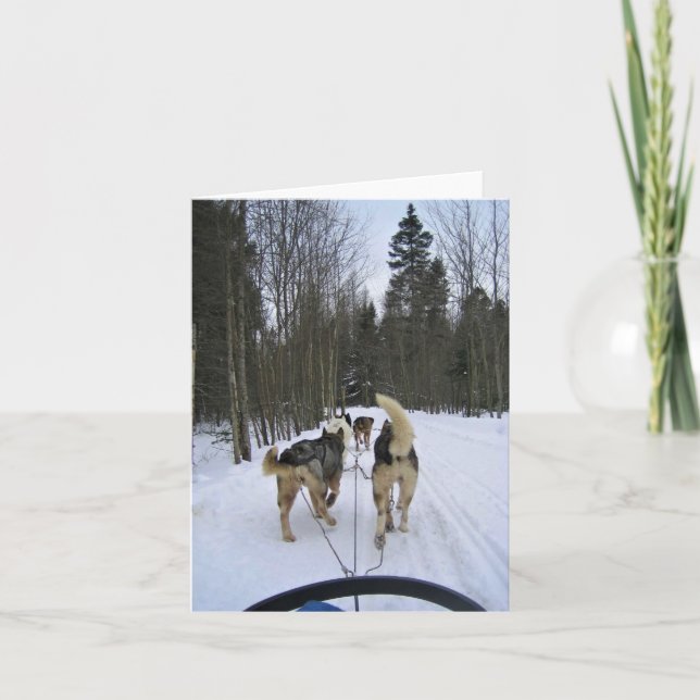 Tarjeta De Agradecimiento Derrame de perro en Quebec, Canadá (Anverso)