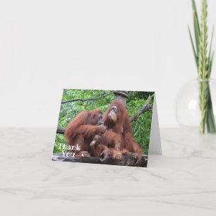 Tarjeta De Agradecimiento Desayuno con los Orangutans Funny