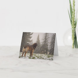 Tarjeta De Agradecimiento Deseándote paz