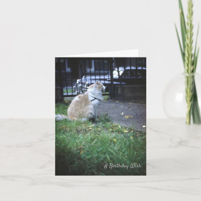 Tarjeta De Agradecimiento Deseo de cumpleaños de Cat (Anverso)