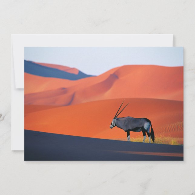 Tarjeta De Agradecimiento Desiertos | Namib Desert Oryx (Anverso)