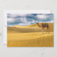 Desiertos | Thar Desert Rajasthan Camello India