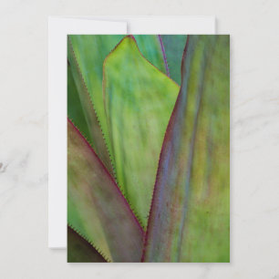 Tarjeta De Agradecimiento Detalle de planta agave