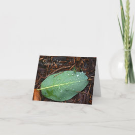 Tarjeta De Agradecimiento Dew Dappling Leaf