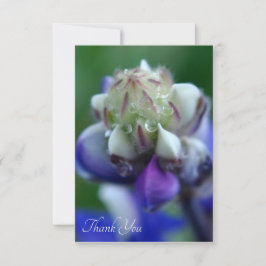 Tarjeta De Agradecimiento Dew Dappling Lupine