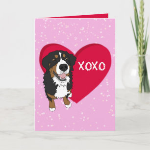 Tarjeta De Agradecimiento Día de San Valentín de Perro de Montaña de Bernese