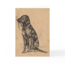 Dibujo de perro de Labrador