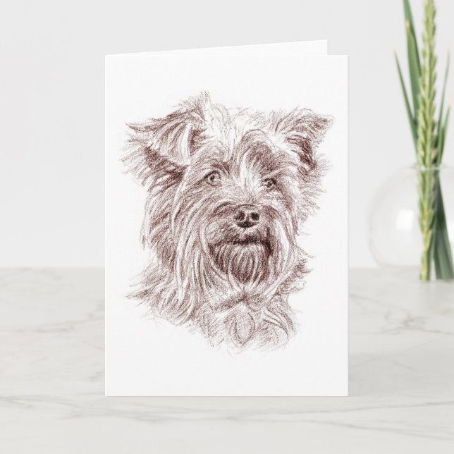 Tarjeta De Agradecimiento Dibujo de Yorkshire Terrier (Anverso)