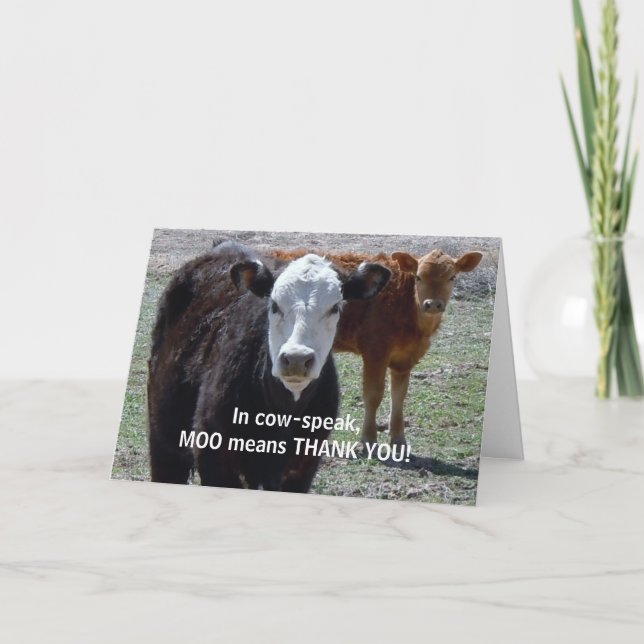 Tarjeta De Agradecimiento Divertido gracias - el humor animal de la vaca - (Anverso)