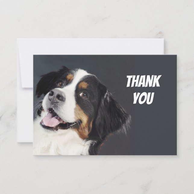 Tarjeta De Agradecimiento Divertido perro callejero gracias (Anverso)