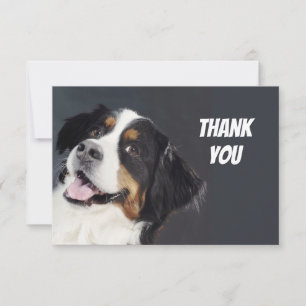 Tarjeta De Agradecimiento Divertido perro callejero gracias