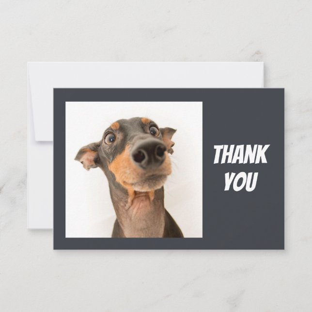Tarjeta De Agradecimiento Divertido tonto sorprendido mirando perro Gracias (Anverso)