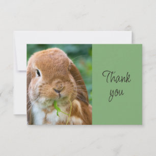 Tarjeta De Agradecimiento Diviértete Conejito Conejito Mascota Animal Gracia
