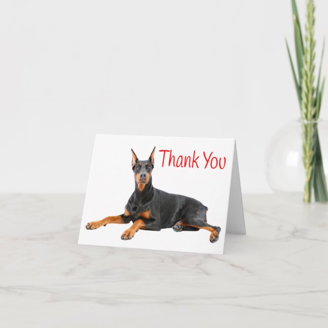 Tarjeta De Agradecimiento Doberman Pinscher Puppy Dog Red Gracias - Blank (Anverso)