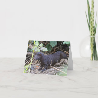 Tarjeta de agradecimiento doblada