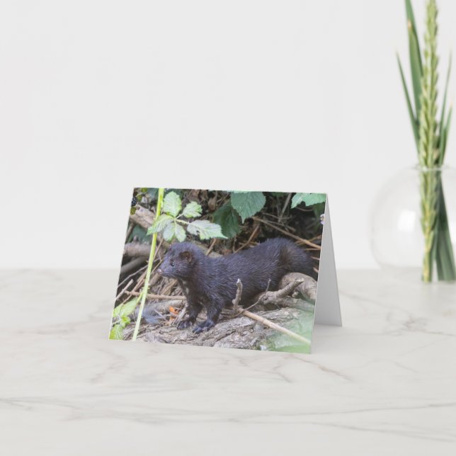 Tarjeta de agradecimiento doblada (Anverso)