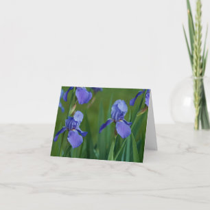 Tarjeta de agradecimiento doblada de Iris con barb