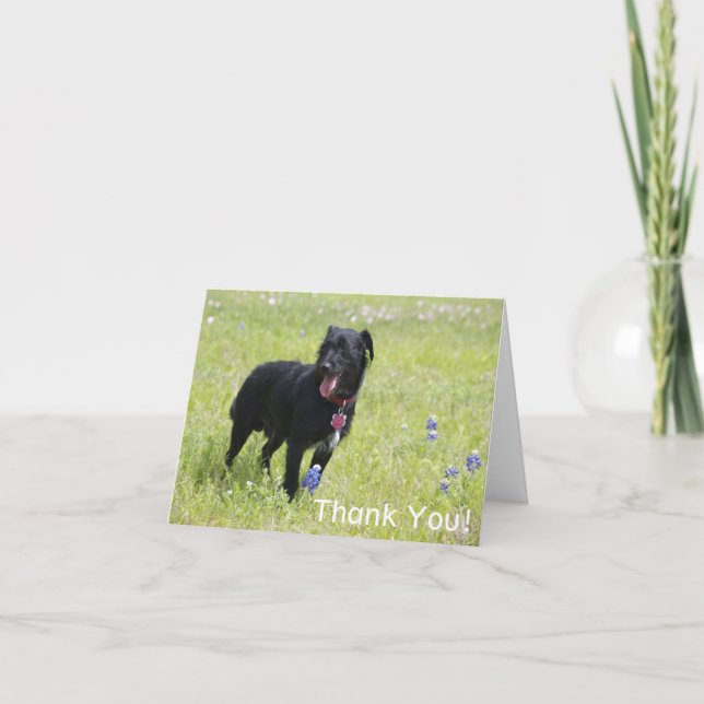 Tarjeta De Agradecimiento Dog Gracias Card (Anverso)