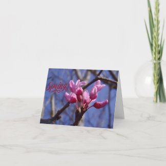 Tarjeta De Agradecimiento Dogwood Blossom Blank Greeting Card