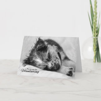 Tarjeta De Agradecimiento Dormir de forma voluntaria con una pimienta