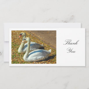 Tarjeta De Agradecimiento Dos Cisnes - Gracias