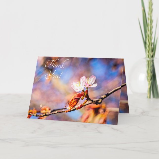 Tarjeta De Agradecimiento Dos Flores Asombrosas De Sakura. Fondo rosa y azul (Anverso)
