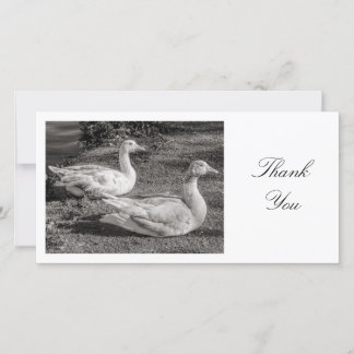 Tarjeta De Agradecimiento Dos Geese - Gracias